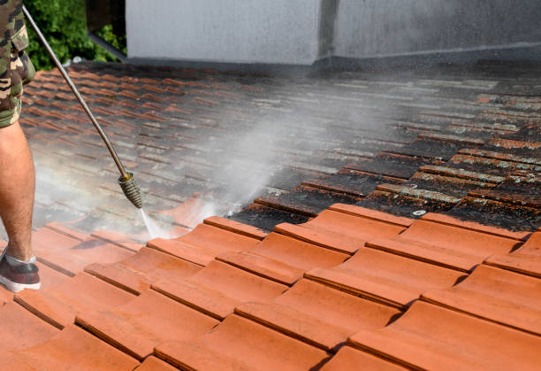 Best Deck Cleaning Services  in Pioneer, OH