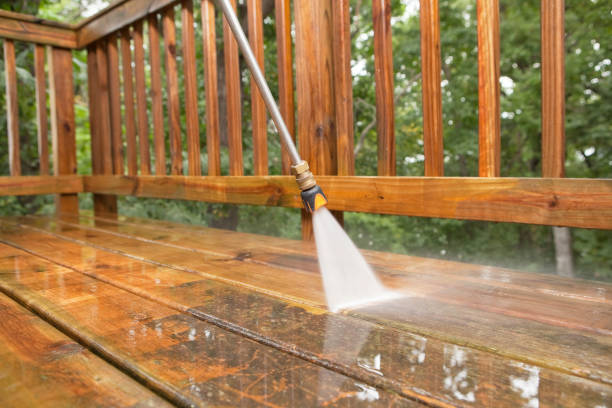 Best Residential Pressure Washing Services  in Pioneer, OH