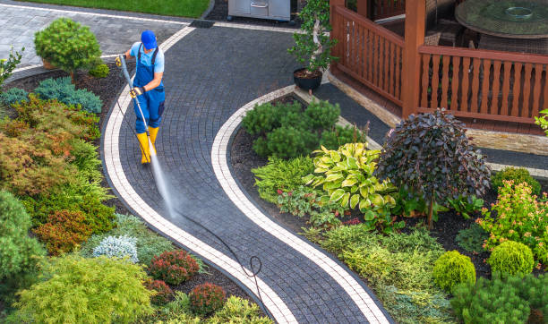 Best Exterior Home Cleaning  in Pioneer, OH